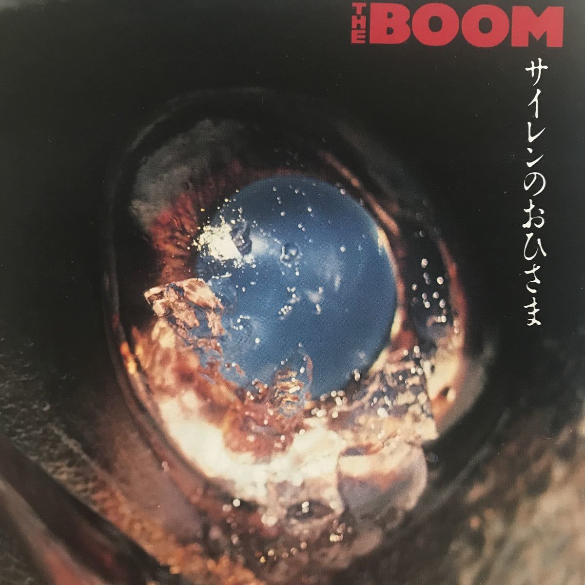 BOOM ★ サイレンのおひさま拍卖