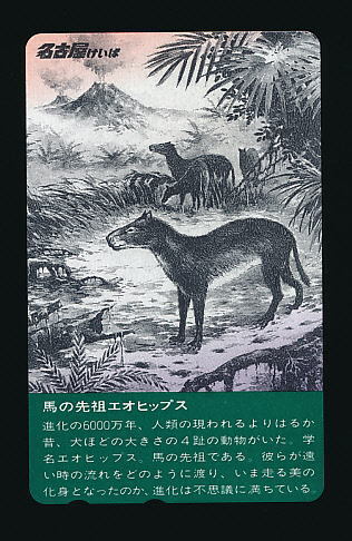 ●895●名古屋競馬★馬の先祖エオヒップス【テレカ50度】●拍卖
