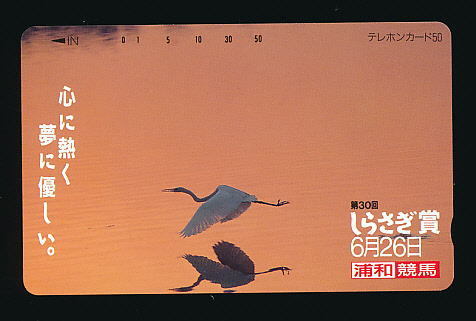●809●浦和競馬★第30回しらさぎ賞【テレカ50度】●拍卖