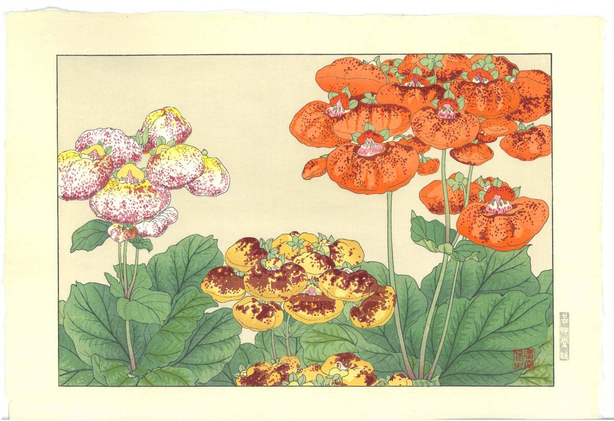 真作保証 谷上廣南 木版画 カルセオラリア 西洋草花図譜 初版 昭和中期 今は亡き 摺りの巨匠新味氏の技をご堪能下さい! 拍卖