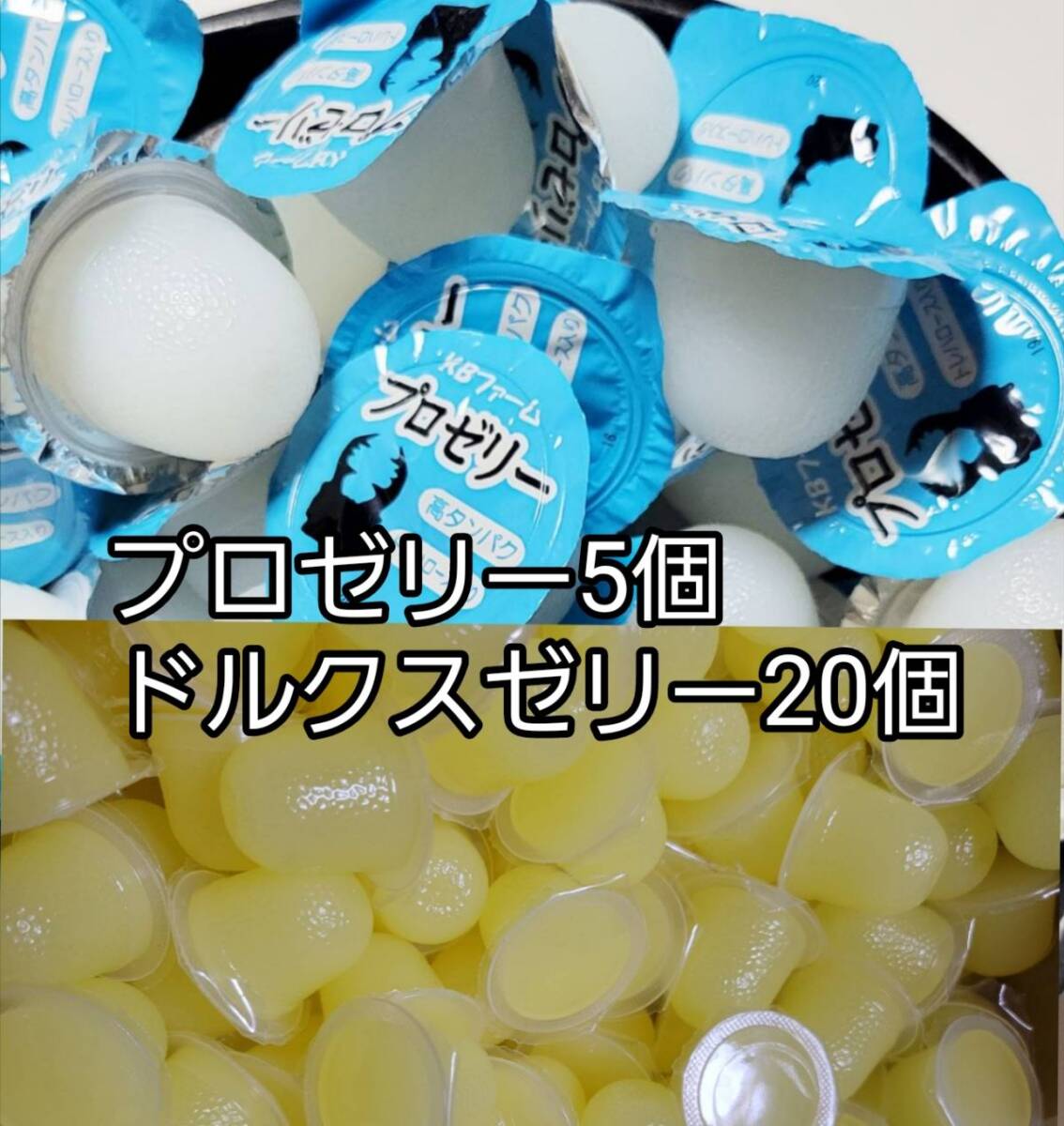 プロゼリー16g 5個 ドルクスゼリーS20個 KBファーム フジコン 昆虫ゼリー カブトムシ クワガタ ハムスター 小動物 ハリネズミ モモンガ拍卖