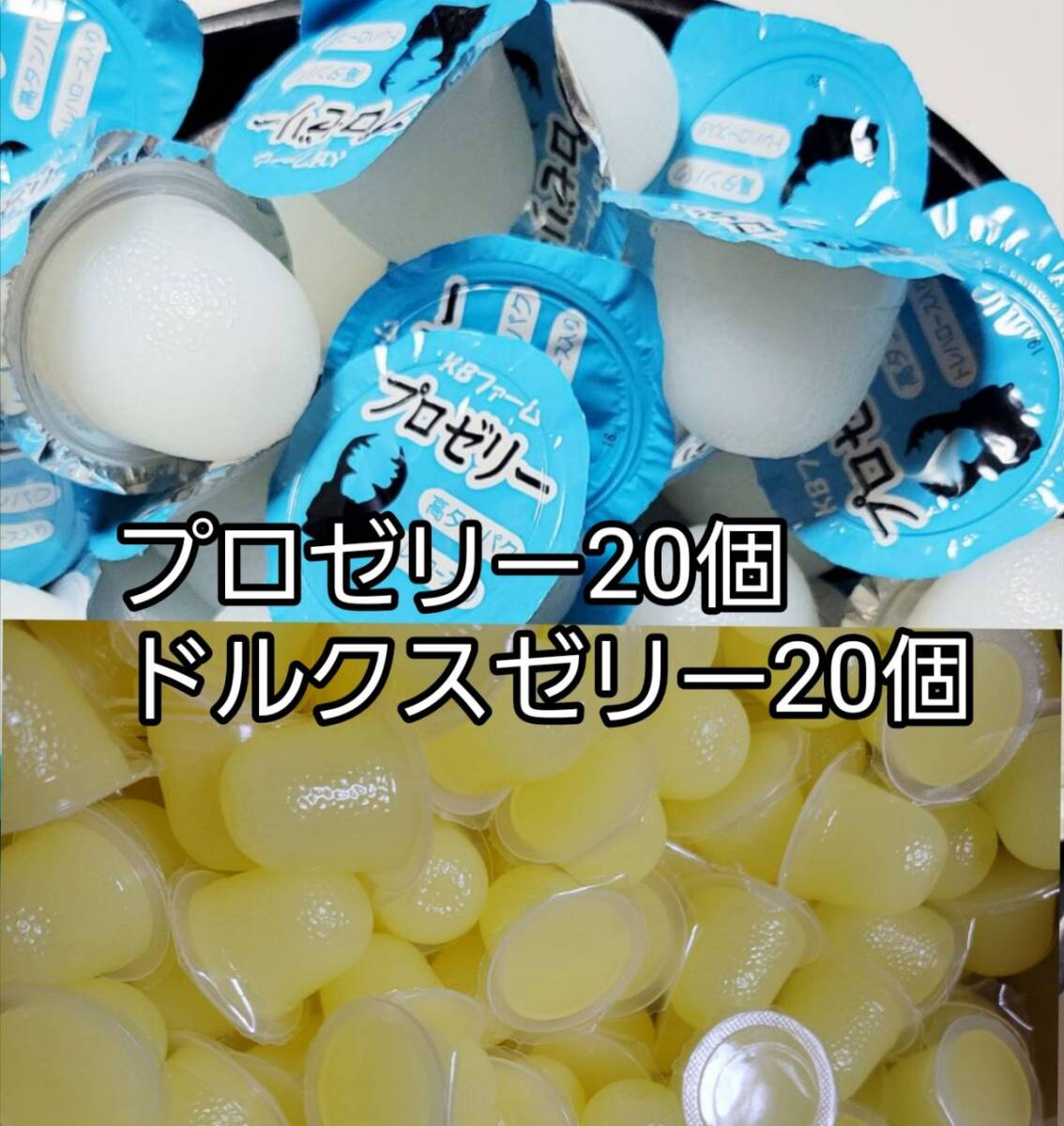 プロゼリー16g 20個 ドルクスゼリーS20個 KBファーム フジコン 昆虫ゼリー カブトムシ クワガタ ハムスター 小動物 ハリネズミ モモンガ拍卖