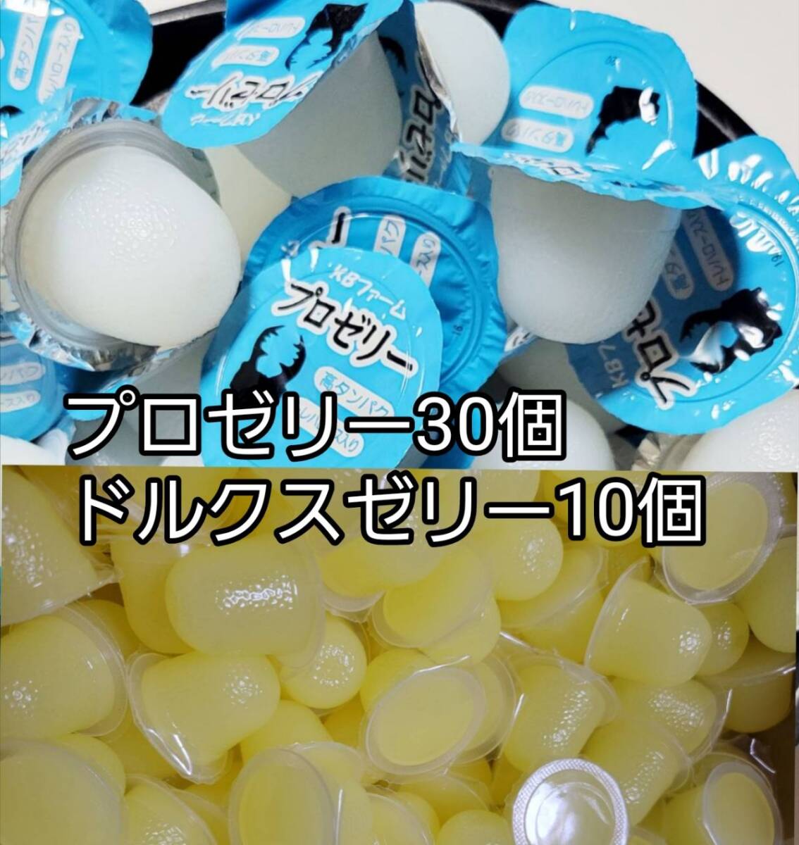 プロゼリー16g 30個 ドルクスゼリーS10個 KBファーム フジコン 昆虫ゼリー カブトムシ クワガタ ハムスター 小動物 ハリネズミ モモンガ拍卖