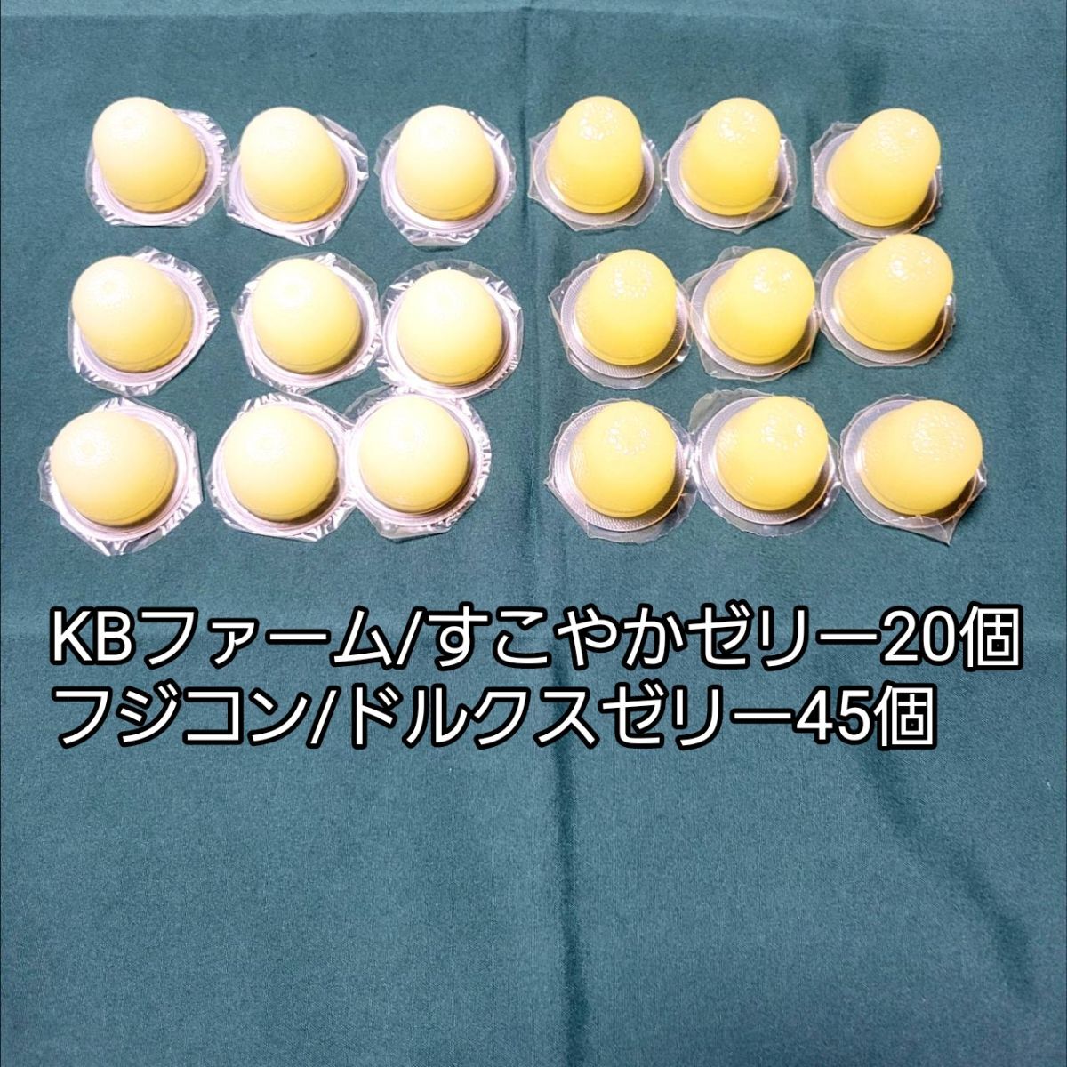 すこやかゼラ16g 20個 ドルクスゼリーS45個 KBファーム フジコン 昆虫ゼリー カブトムシ クワガタ ハムスター 小動物 ハリネズミ モモンガ拍卖