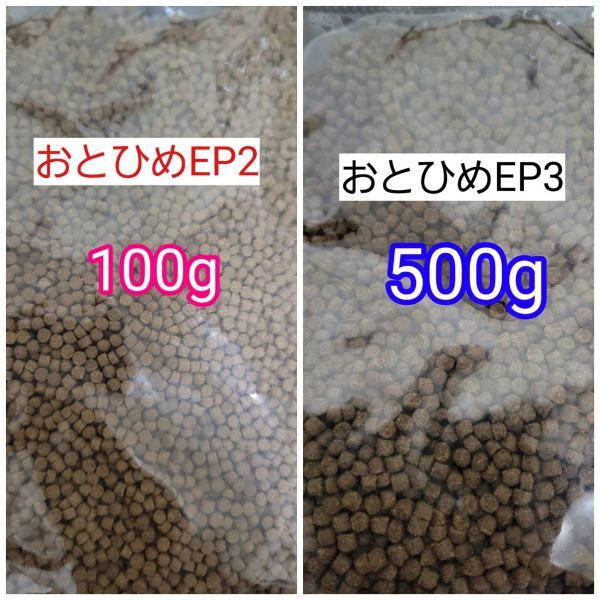 日清丸紅 沈下性 おとひめEP2 100g EP3 500g アクアリウム 金魚 熱帯魚 らんちう 錦鯉 ポリプテルス ザリガニ シクリッド ダトニオ拍卖