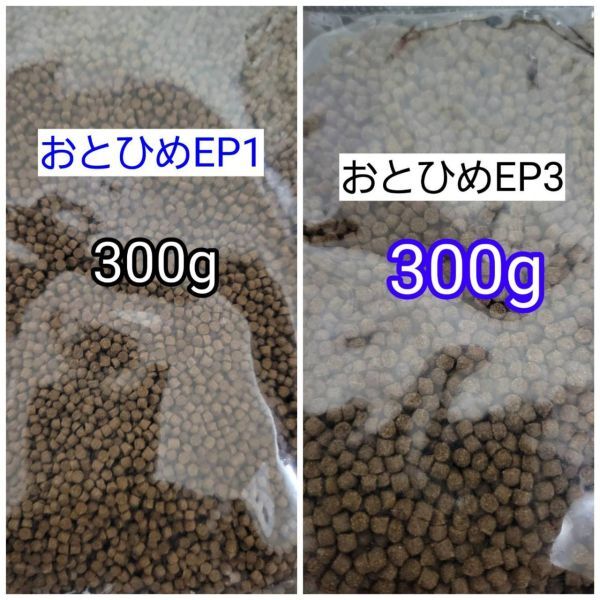 日清丸紅 沈下性 おとひめEP1 300g EP3 300g アクアリウム 金魚 熱帯魚 らんちう 錦鯉 ポリプテルス ザリガニ シクリッド ダトニオ拍卖