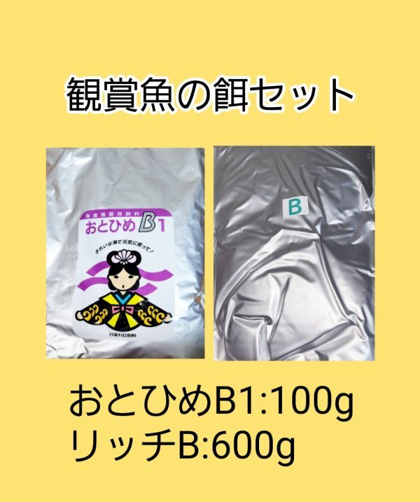 観賞魚餌 使い比べセット おとひめB1 100g リッチB 600g 日清丸紅飼料 めだか グッピー らんちゅう 熱帯魚 金魚 アクアリウム ベタ 錦鯉拍卖