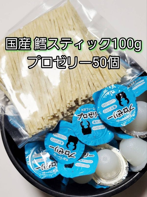 鱈スティック100g 国産 プロゼリー16g 50個 KBファーム 昆虫ゼリー カブトムシ クワガタ ハムスター等 小動物 フィッシュスティック拍卖