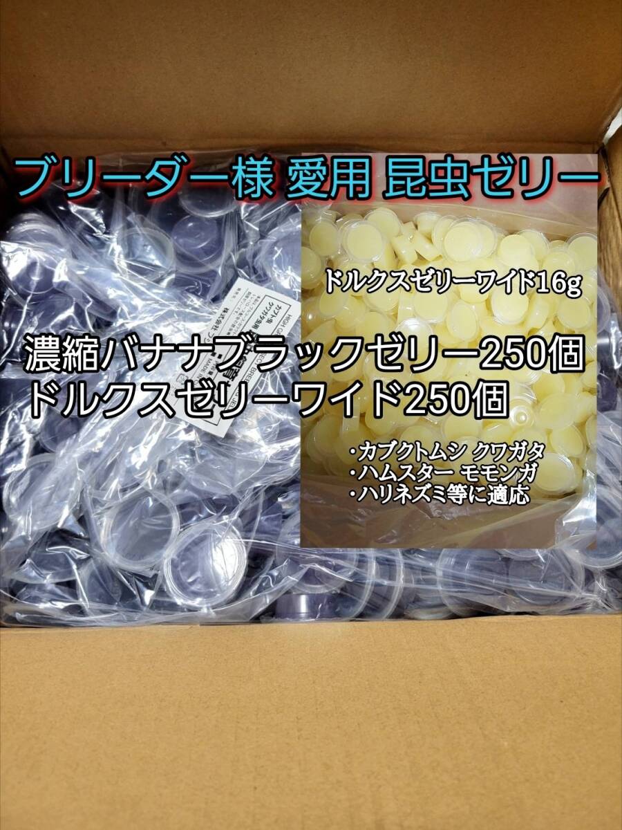 濃縮バナナブラックゼリーワイドS16g 250個 ドルクスゼリーワイドS250個 オオクワ カブトムシ 小動物 クワカブ 昆虫ゼリー フジコン拍卖