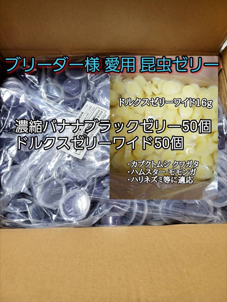 濃縮バナナブラックゼリーワイドS16g 50個 ドルクスゼリーワイドS50個 オオクワ カブトムシ 小動物 クワカブ 昆虫ゼリー フジコン拍卖