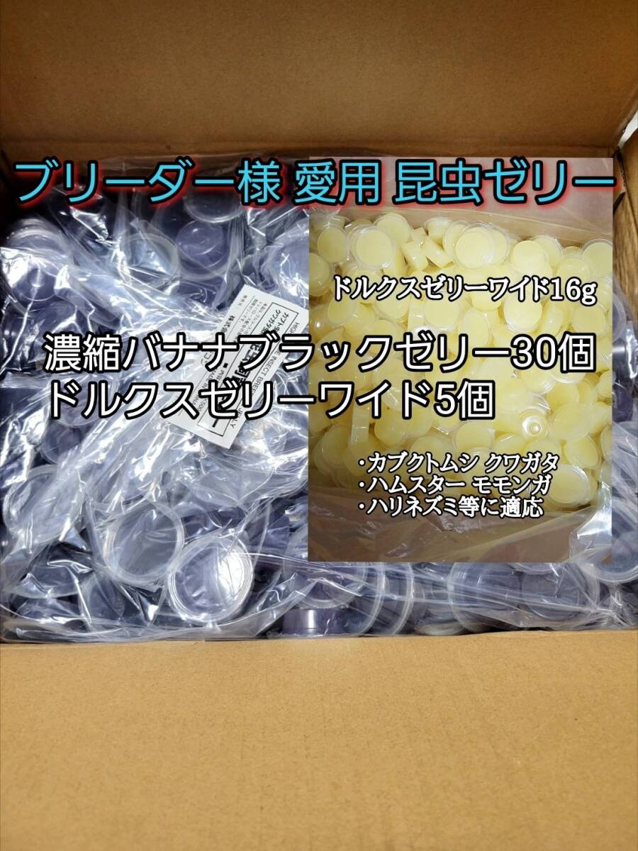 濃縮バナナブラックゼリーワイドS16g 30個 ドルクスゼリーワイドS5個 オオクワ カブトムシ 小動物 クワカブ 昆虫ゼリー フジコン拍卖