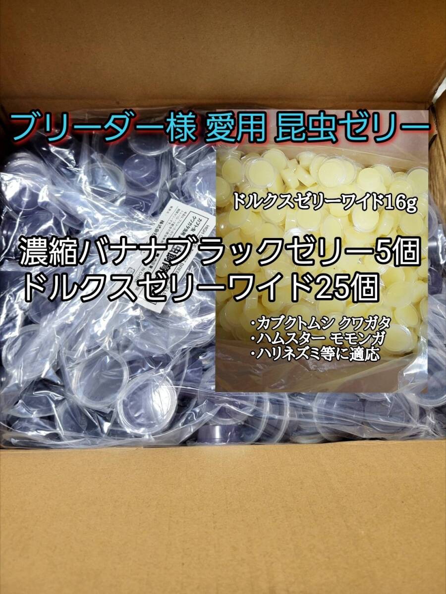 濃縮バナナブラックゼリーワイドS16g 5個 ドルクスゼリーワイドS25個 オオクワ カブトムシ 小動物 クワカブ 昆虫ゼリー フジコン拍卖