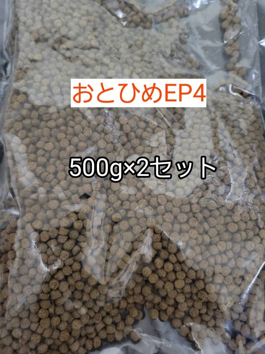日清丸紅 沈下性 おとひめEP4 500g 2セット 約4mm アクアリウム 金魚 熱帯魚 らんちう 錦鯉 ポリプテルス ザリガニ シクリッド ダトニオ拍卖