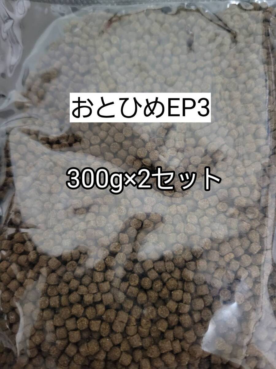 日清丸紅 沈下性 おとひめEP3 300g 2セット約3mm アクアリウム 金魚 熱帯魚 らんちう 錦鯉 ポリプテルス ザリガニ シクリッド ダトニオ拍卖