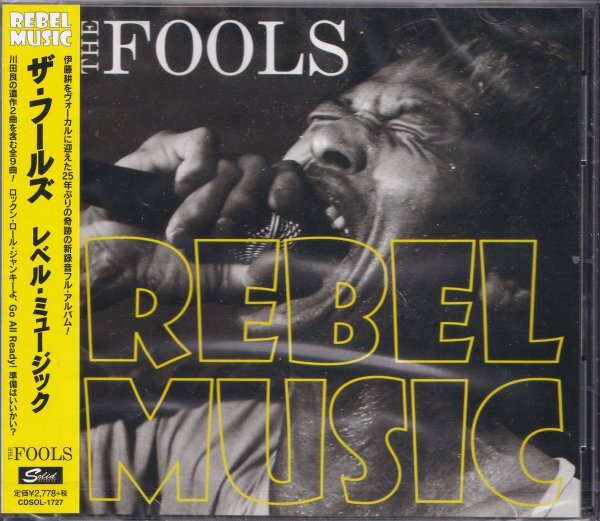 即決13【ザ・フールズ / レベル・ミュージッ THE FOOLS / REBEL MUSIC】未開封/新品/廃盤拍卖