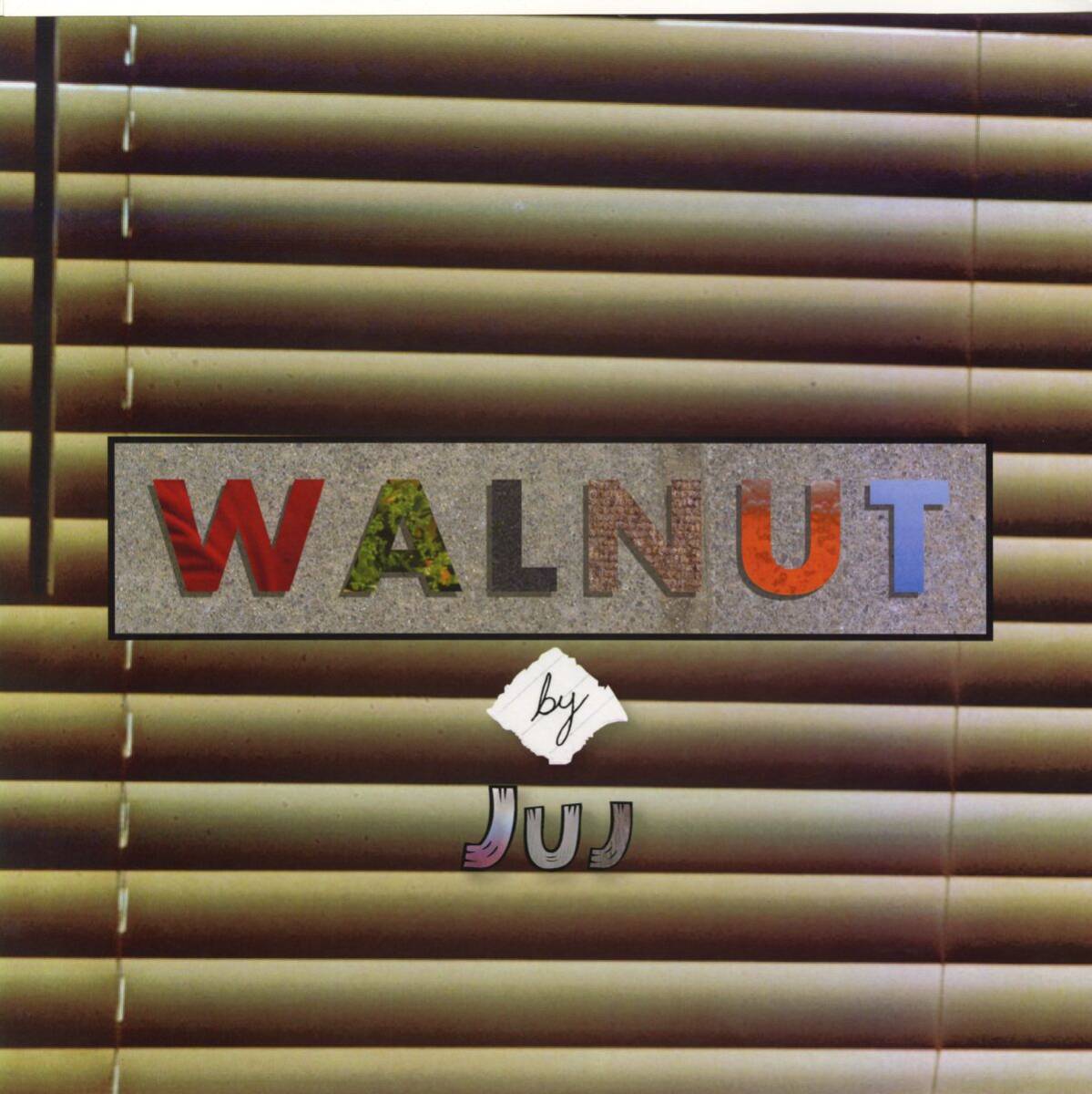 USオリジLP! Juj / Walnut 13年【HW&W Recordings / none】 Hiphop Jazz Fusion Downtempo Instrumental Juggalo Gigolos Move Over拍卖