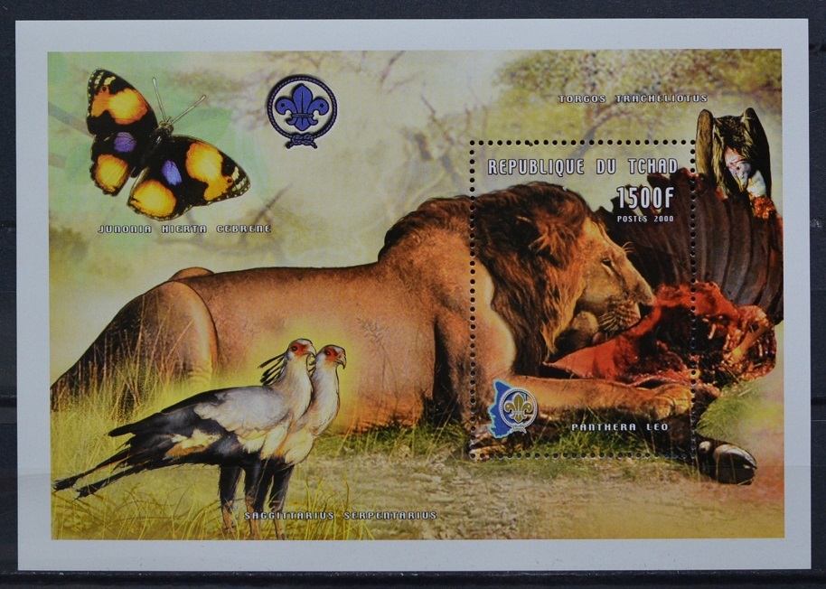 「FA17」チャド切手 2000年 ライオン拍卖