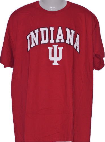 新品 即決 NCAA インディアナ大 フージャーズTシャツ Lサイズ 6 送料込拍卖