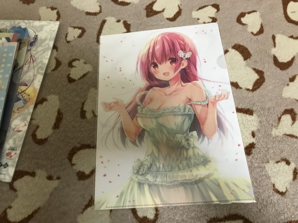 d097クリアファイル ひなこのーと  三月 6巻 メロンブックス特典 桜木ひな子拍卖