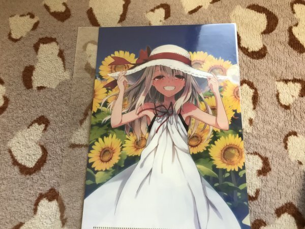 d087クリアファイル FGO Fate Grand Order プリズマ☆イリヤ ドライ!! 11巻 とらのあな特典  ひろやまひろし拍卖