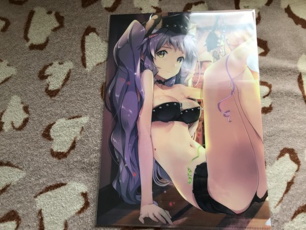 d096クリアファイル 平つくね) /ROUTE1 とらのあな特典 TORANOANA Girls Collection 2018 WINTER拍卖