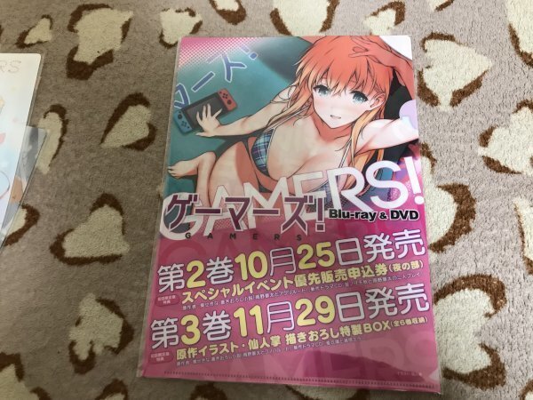 d085クリアファイル ゲーマーズ!  仙人掌 葵せきな GAMERS 特典拍卖