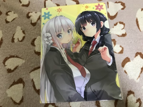 d095クリアファイル (カヅチ) C96/Sweet Avenue メロンブックス特典拍卖