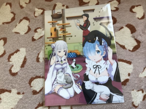 d092クリアファイル Re:ゼロから始める異世界生活 アズメーカー エミリア  レム拍卖