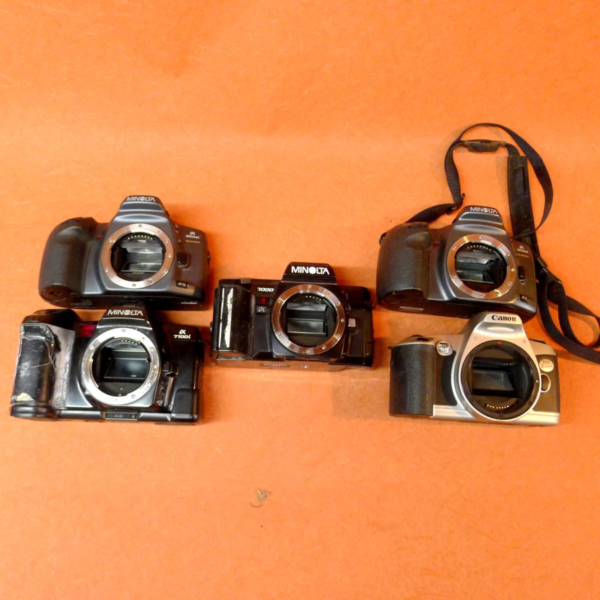 i★135 一眼レフカメラまとめて5点①MINOLTA α303si②MINOLTA α7700i③MINOLTA α 7000④MINOLTA 303si⑤EOS KISS/80拍卖