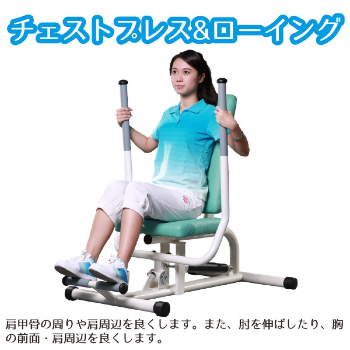 チェストプレス&ローイング リハビリ・エクササイズ 直接引き取り歓迎 とーわあい103103拍卖