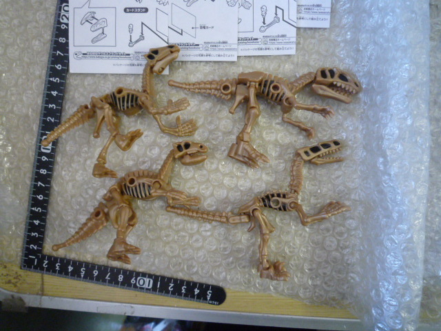 ほねほねザウルス × 福井県立恐竜博物館EX 組み立て済み まとめて 現状渡し品6拍卖