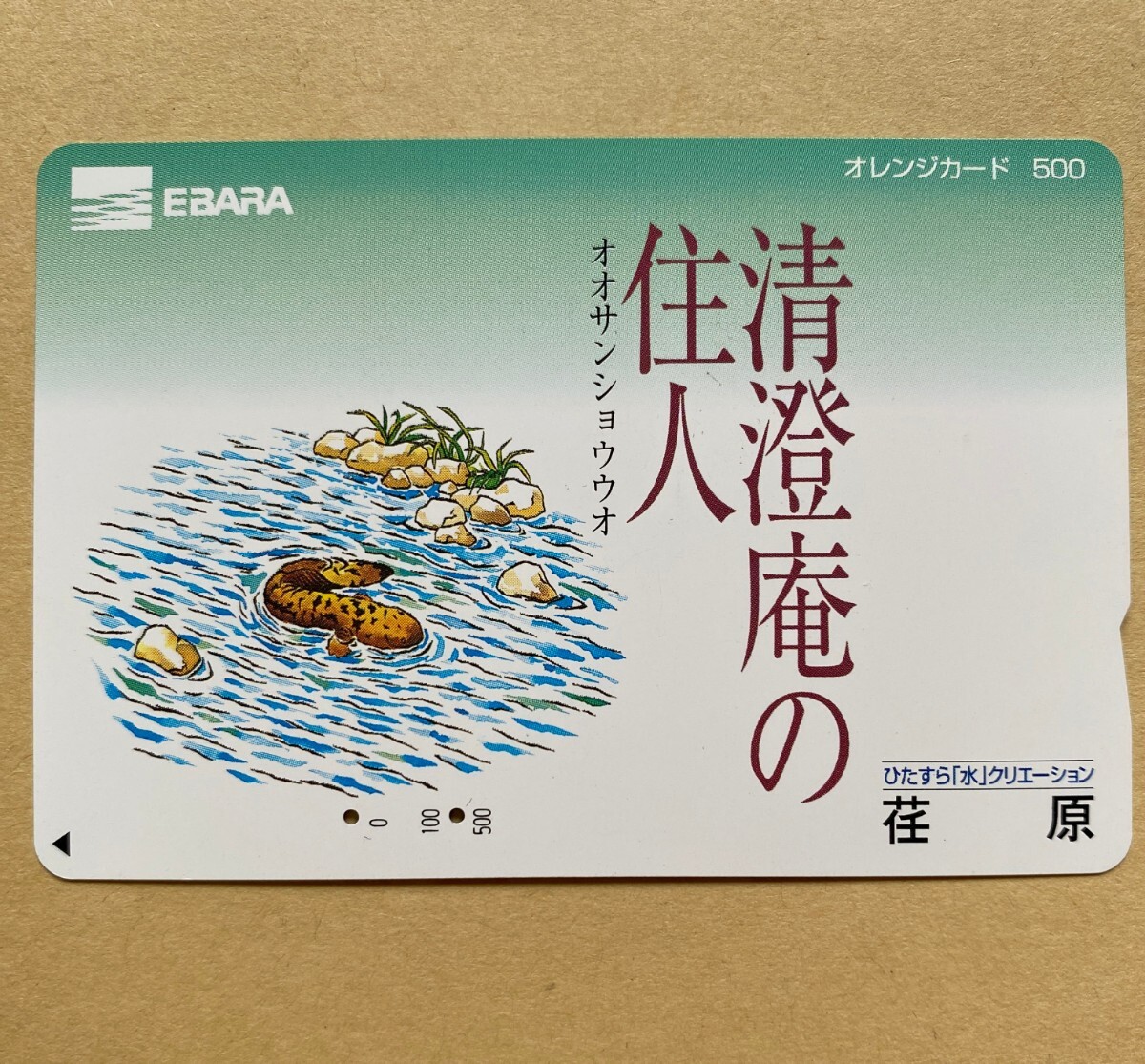 【使用済】 オレンジカード JR東日本 清澄庵の住人 オオサンショウウオ 荏原拍卖