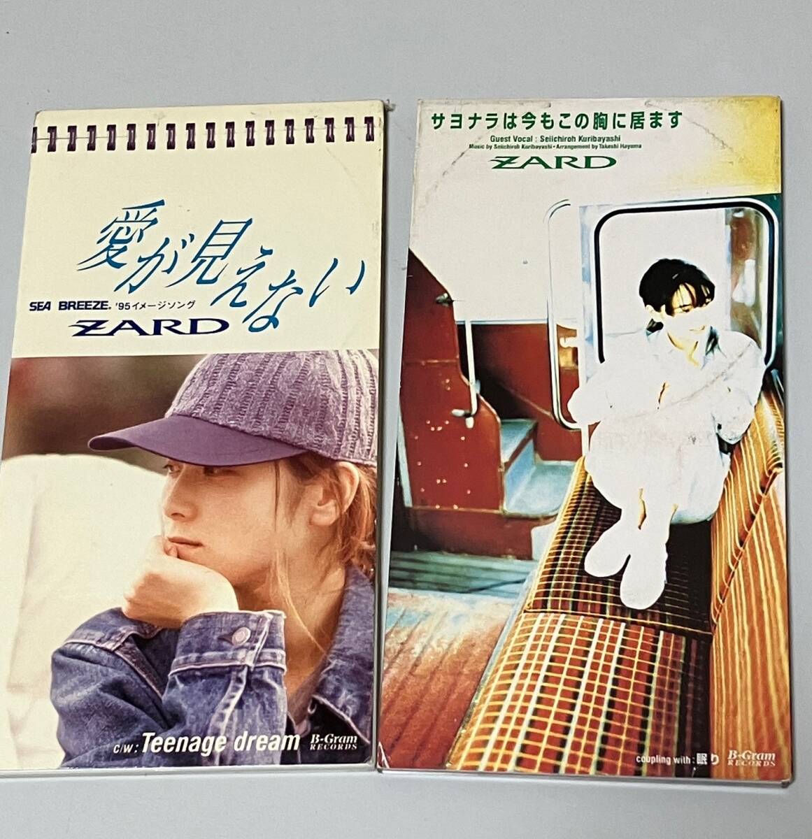 シングルCD2枚★ZARD坂井泉水 愛が見えない サヨナラは今もこの胸に居ます カラオケ付拍卖