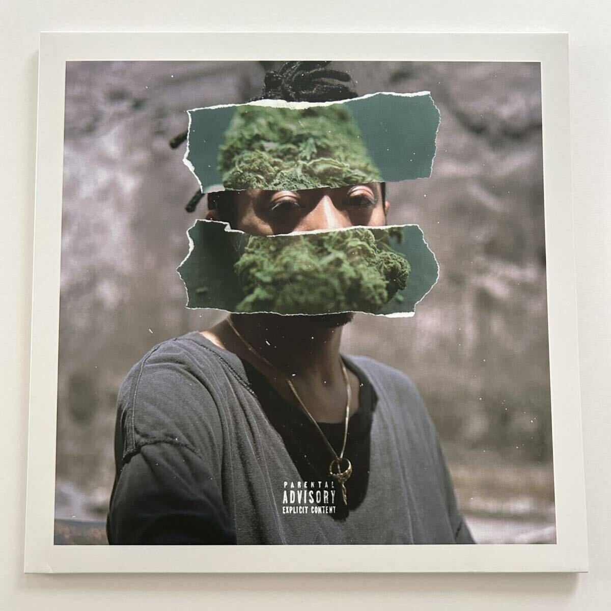 美品 RUDEBWOY FACE ルードボーイフェイス / JAMDOWN /レコード I'm in Love MARIWANA ジャパレゲ拍卖