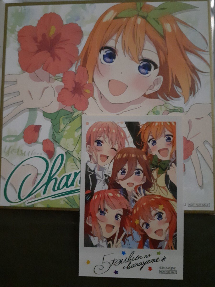 映画 劇場版 五等分の花嫁 第3弾 入場者特典 イラストミニ色紙 中野四葉 高校生ver.&チェキ風ステッカー入場者プレゼント 来場者 入場特典拍卖