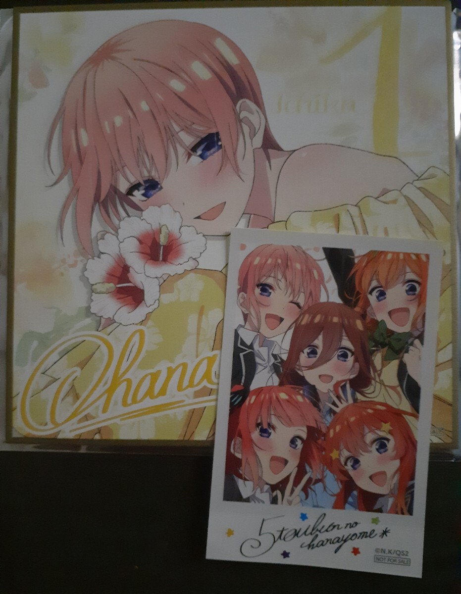 映画 劇場版 五等分の花嫁 第3弾 入場者特典 イラストミニ色紙 中野一花 高校生ver.&チェキ風ステッカー入場者プレゼント 来場者 入場特典拍卖