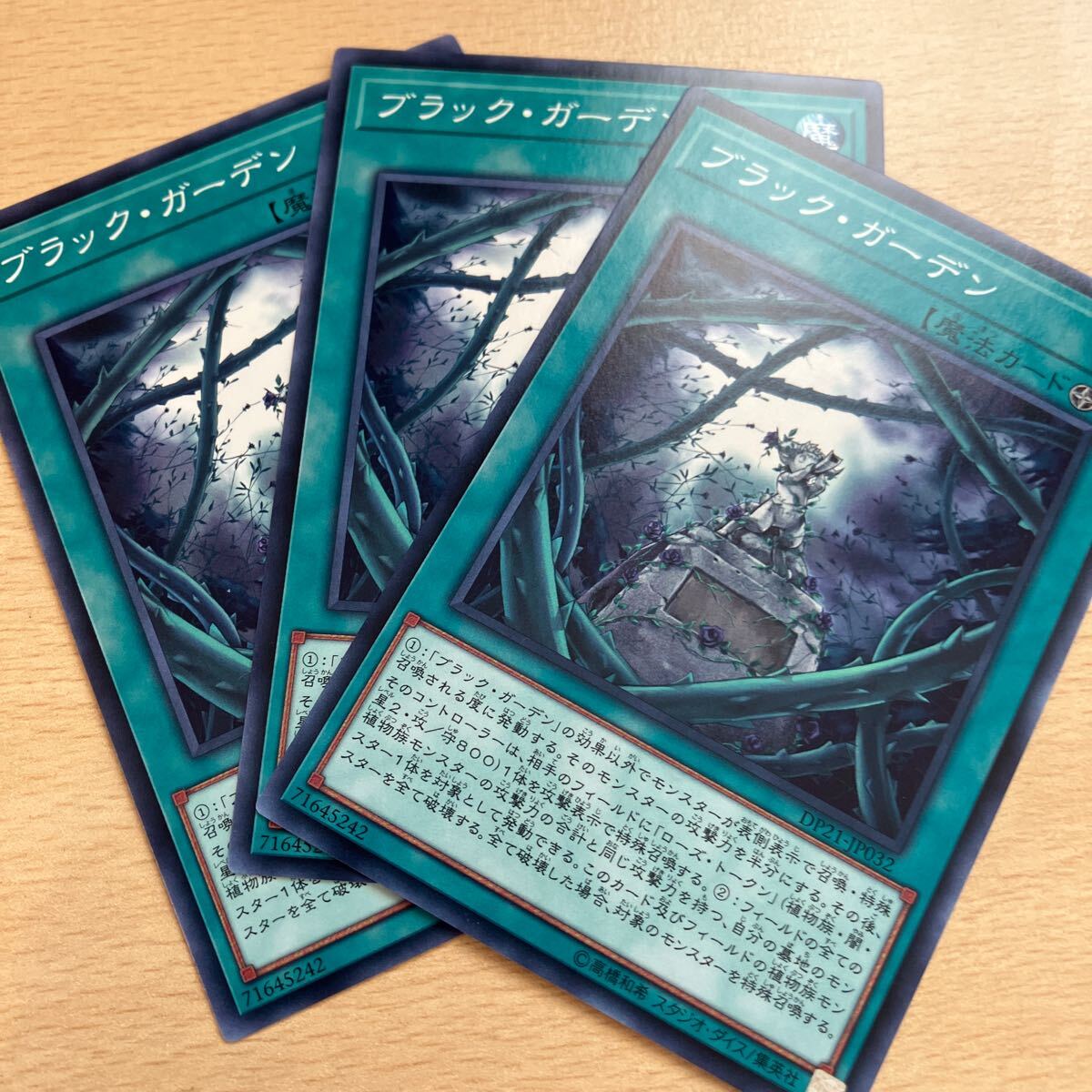 遊戯王 第10期/DP21-JP032 ブラック・ガーデン 三枚まとめ売り拍卖