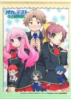 バカとテストと召喚獣バカテス Blu-ray DVD 4~6巻 ゲーマーズ 限定 連動購入 特典 A3 タペストリー 明久 姫路瑞希 島田美波 未開封新品拍卖