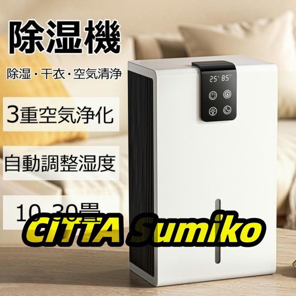 除湿機 衣類乾燥 空気清浄機 パワフル除湿 1台3役 強力除湿 ペルチェ式 結露防止 部屋干し コンパクト マイナスイオン機能 アップグレード拍卖