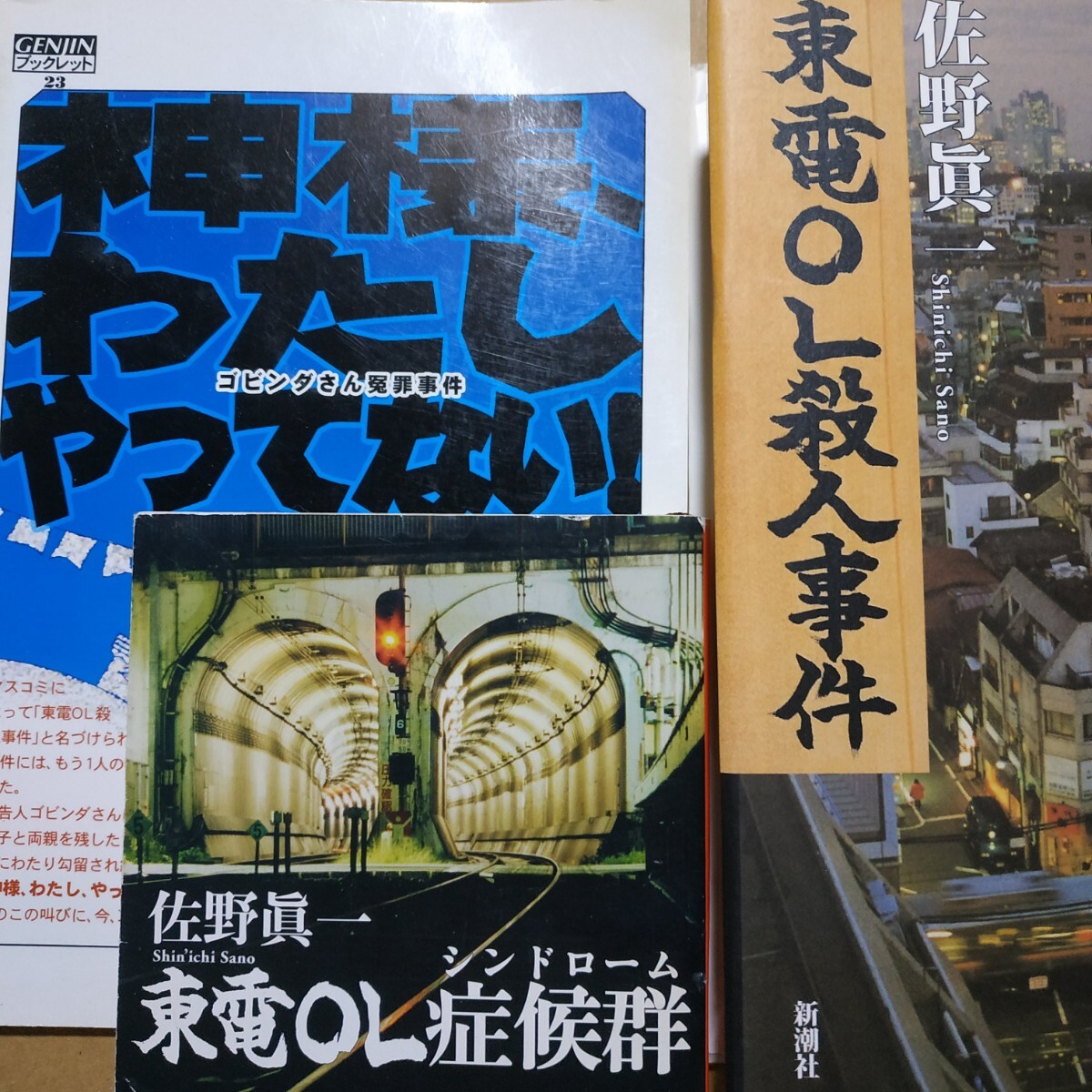 東電OL殺人 神様わたしやってないゴピンタさん冤罪事件 東電OL殺人事件/佐野眞一 東電OL症候群/佐野眞一 渋谷 街娼 数冊格安 面白本棚拍卖
