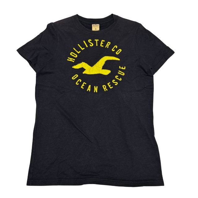 ホリスター ビッグロゴ デカロゴ Tシャツ ワッペン 刺繍 アメカジ HOLLISTER フェード 色褪せ 褪色 雅瀬709拍卖