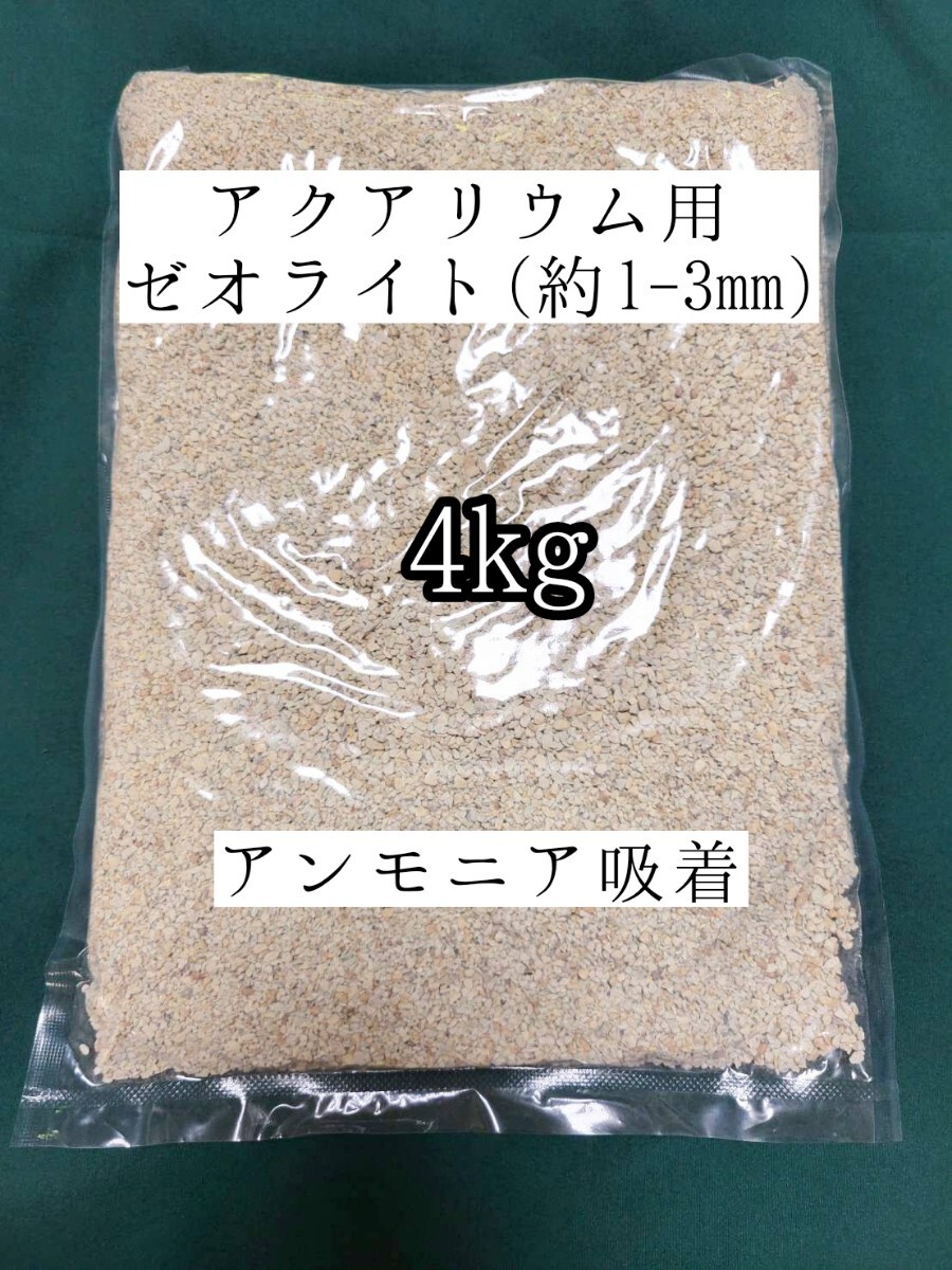 アクアリウム用ゼオライト4kg アンモニア吸着 メダカ 金魚 ザリガニ 亀 ベタ 熱帯魚拍卖