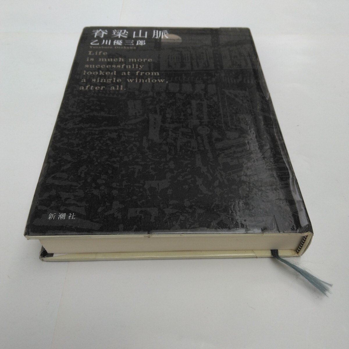 脊梁山脈 全1巻 初版本 乙川優三郎 新潮社 当時品 保管品 せきりょうさんみゃく拍卖