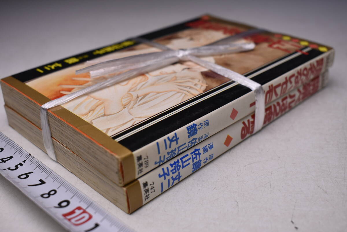 鏡丈二 佐山玲子2巻セット ★ 題名のないセレモニー ★ 開幕ベルは2度鳴る ★ 集英社 ★ 中古拍卖