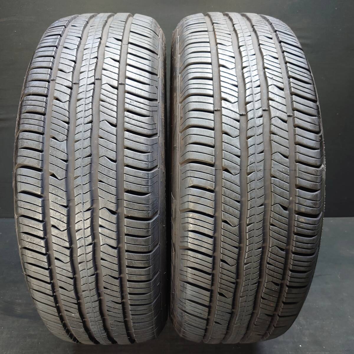 ★☆ BFグッドリッチ Advantage オールシーズン 225/55R19 2本組み #23675 ☆★拍卖