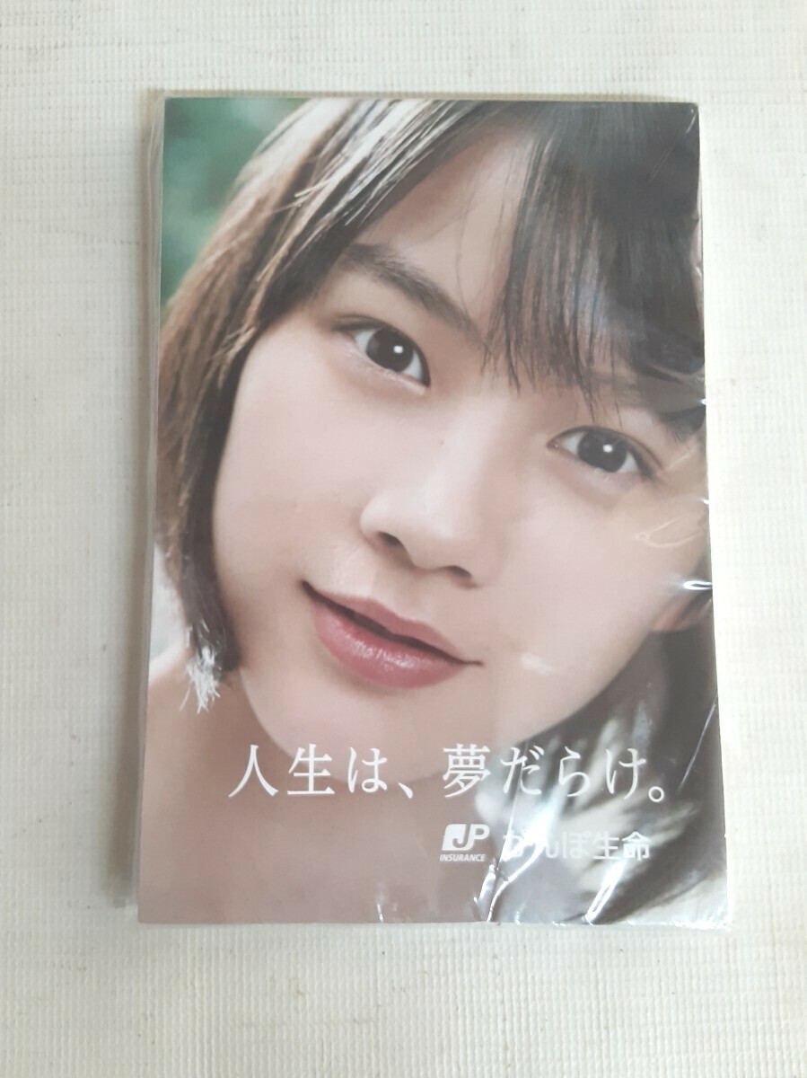 ☆かんぽ生命☆メモ帳☆のん☆能年玲奈☆新品☆未使用☆拍卖