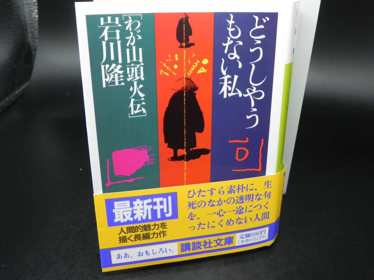どうしやうもない私 わが山頭火伝 岩川隆 講談社 講談社文庫 LY-a2.241029拍卖