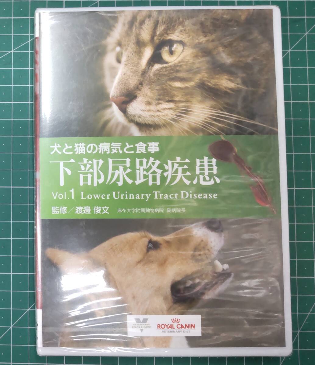 【未開封】DVD 犬と猫の病気と食事 Vol.1 下部尿路疾患 RC-DV001 監修・渡邊俊文 ロイヤルカナン ビデオシリーズ ROYAL CANIN●H4206拍卖