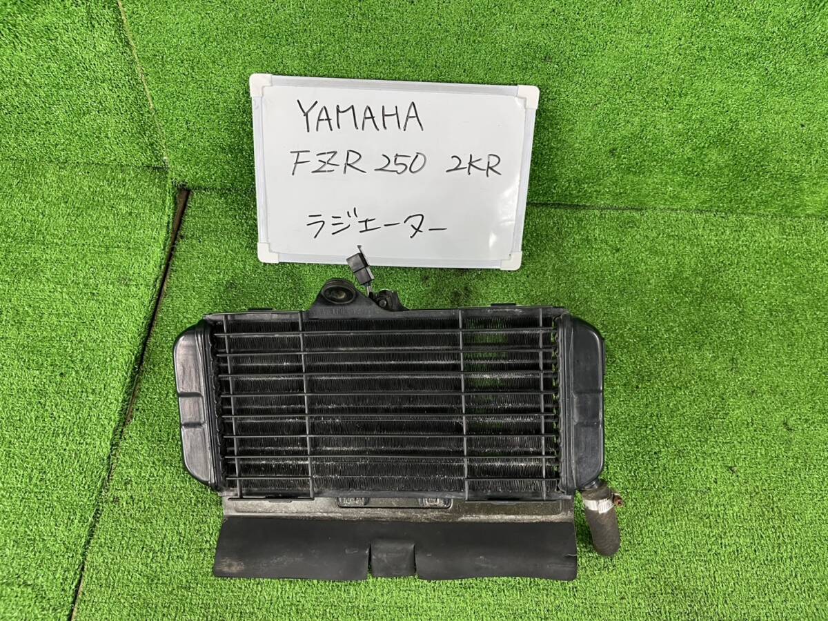 YAMAHA ヤマハ FZR 250 2KR ラジエーター 走行距離 3,681㎞ 動作確認済み拍卖