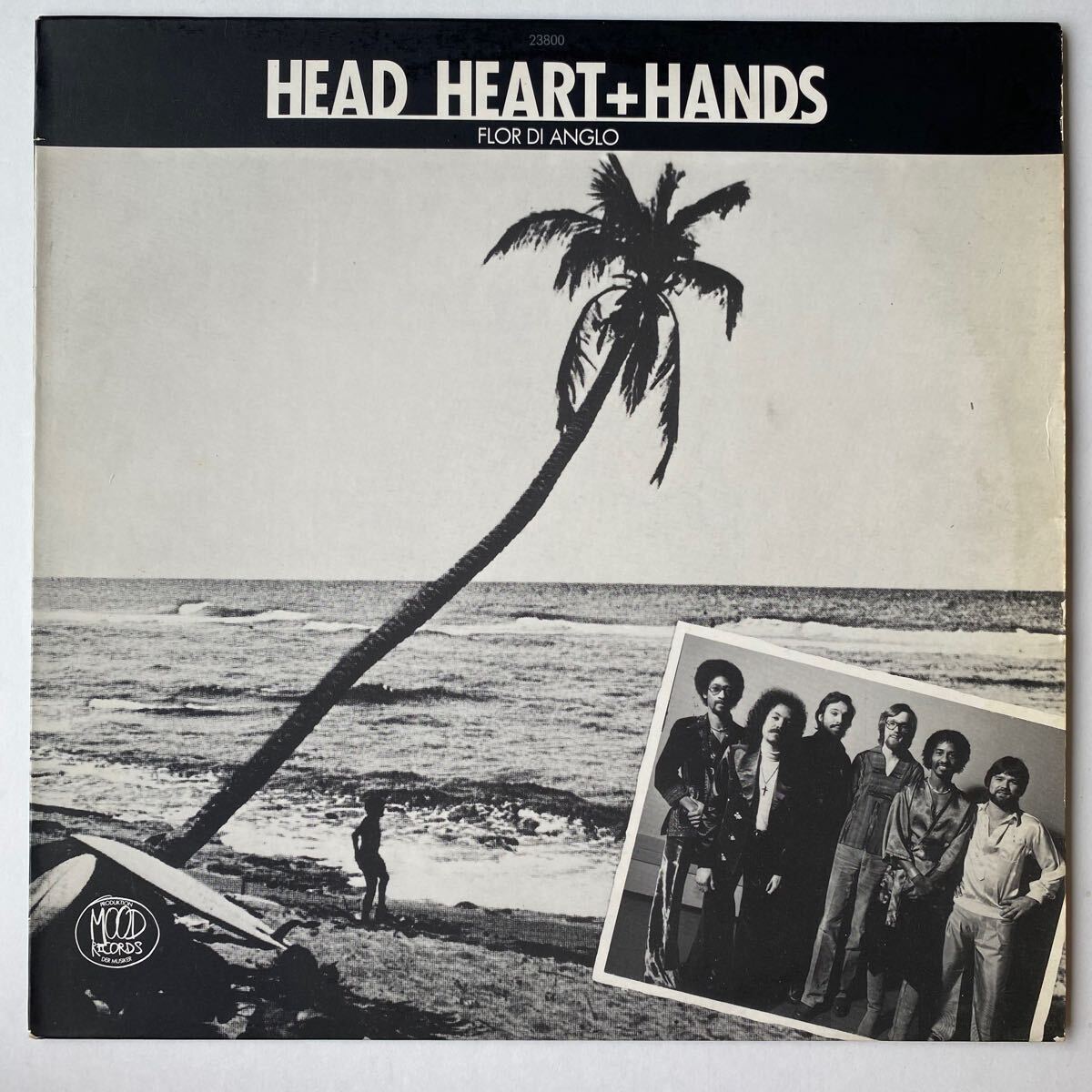 Head Heart + Hands / Flor Di Anglo拍卖